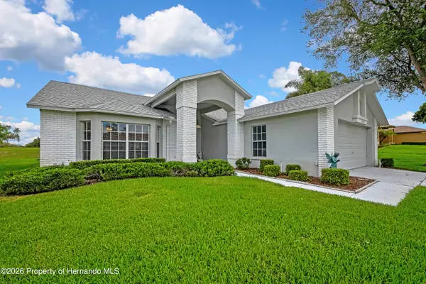 11203 Sun Tree Road, Hudson, FL 34667