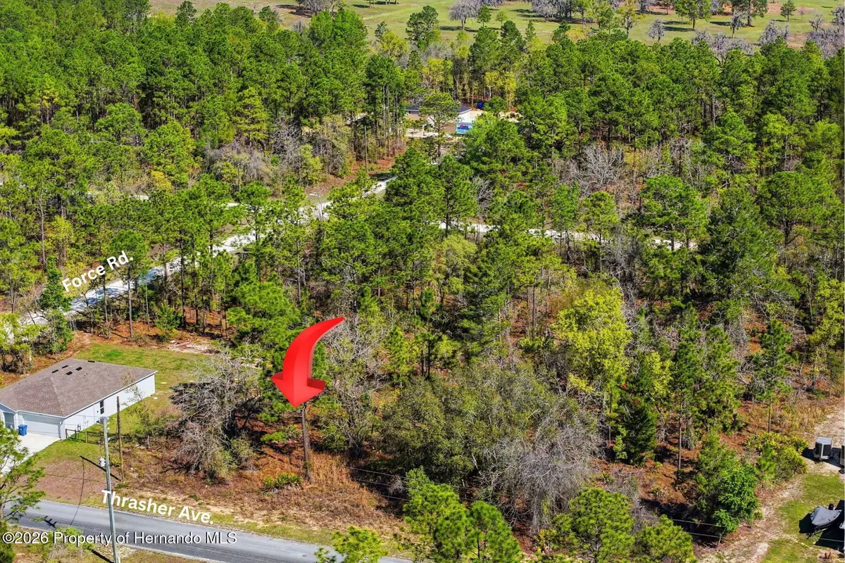 Lot 25 Thrasher Avenue, Weeki Wachee, FL 34614 - #1