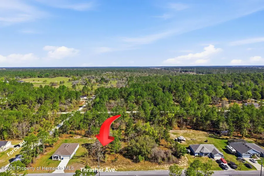 Lot 25 Thrasher Avenue, Weeki Wachee, FL 34614 - #2