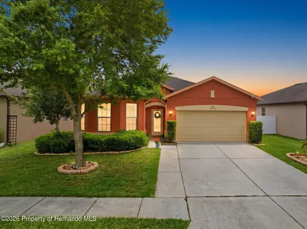 15723 Stone House Drive, Brooksville, FL 34604