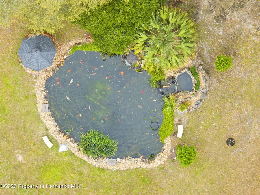 161 W Chase Street, Hernando, FL 34442 - #3