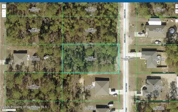16411 Mellon Road, Weeki Wachee, FL 34614