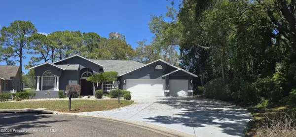 6545 Mulligan Court, Spring Hill, FL 34606