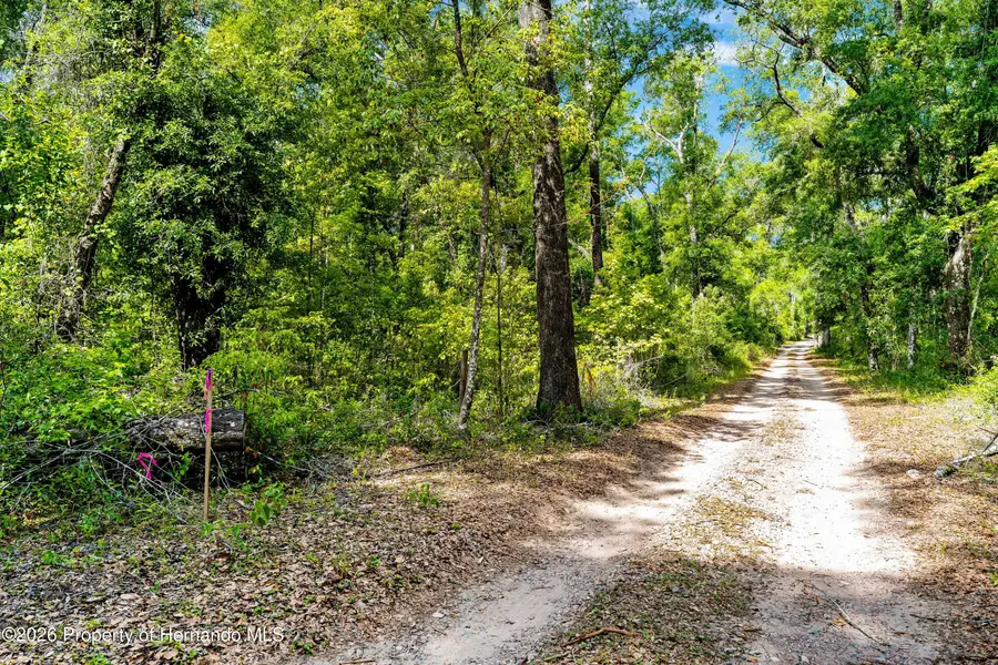 0 Lager Street, Brooksville, FL 34602 - #3