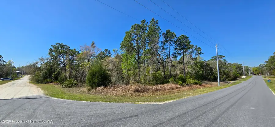 0 Ruffed Grouse Road, Weeki Wachee, FL 34614 - #2