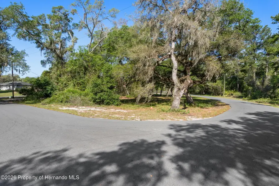 5043 Cardinal Drive, Ridge Manor, FL 33523 - #3