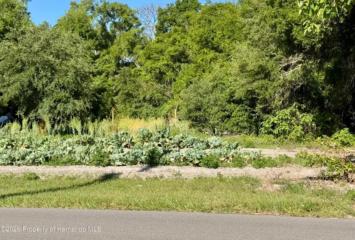 00 County Road 213, Wildwood, FL 34785 - #1