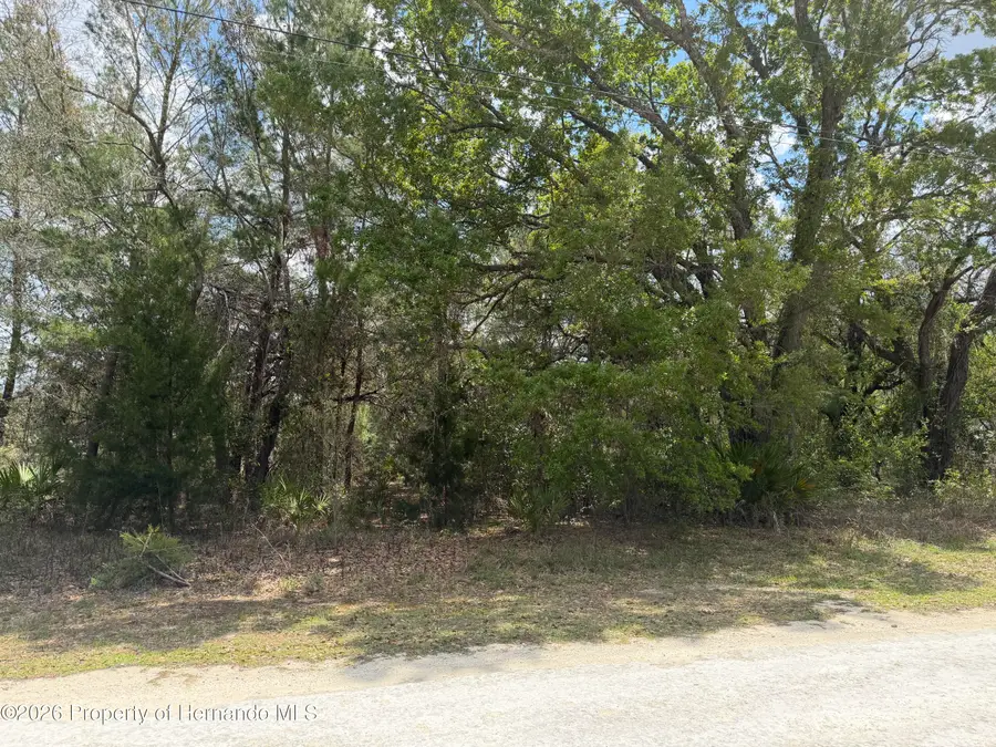 0 Bastian Court, Weeki Wachee, FL 34613 - #2