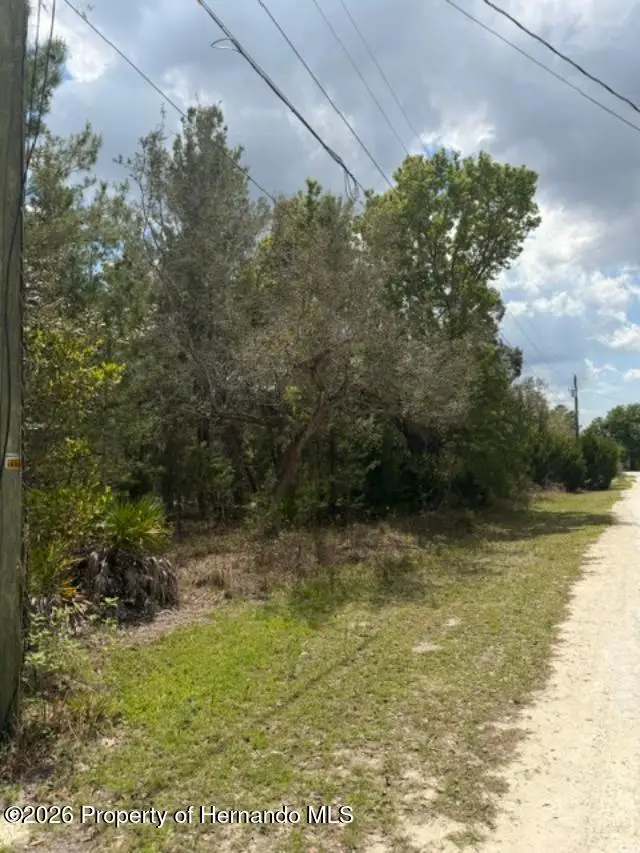 0 Bastian Court, Weeki Wachee, FL 34613 - #3