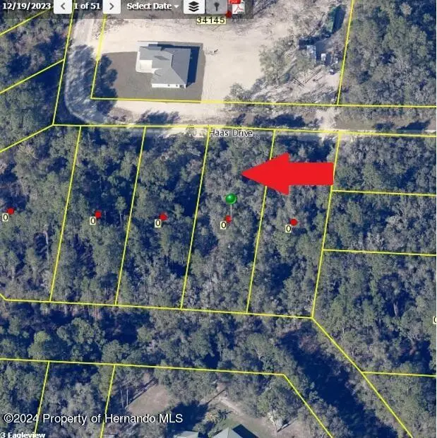 0 Haas Drive, Webster, FL 33597 - #3