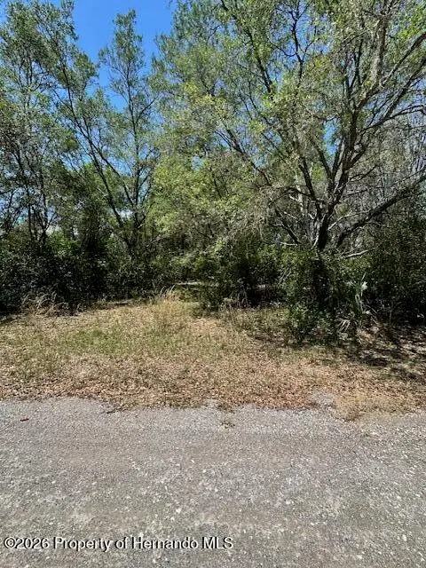 8681 N Catapane Loop, Crystal River, FL 34428 - #1