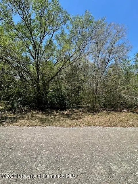 8681 N Catapane Loop, Crystal River, FL 34428 - #2