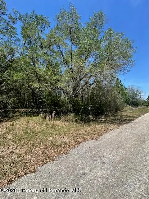 8681 N Catapane Loop, Crystal River, FL 34428 - #3