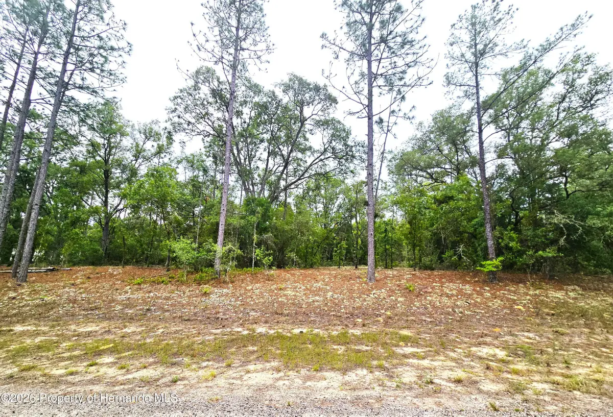 576 E Nemo Drive, Citrus Springs, FL 34434 - #1