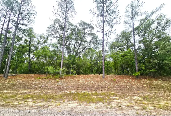 576 E Nemo Drive, Citrus Springs, FL 34434