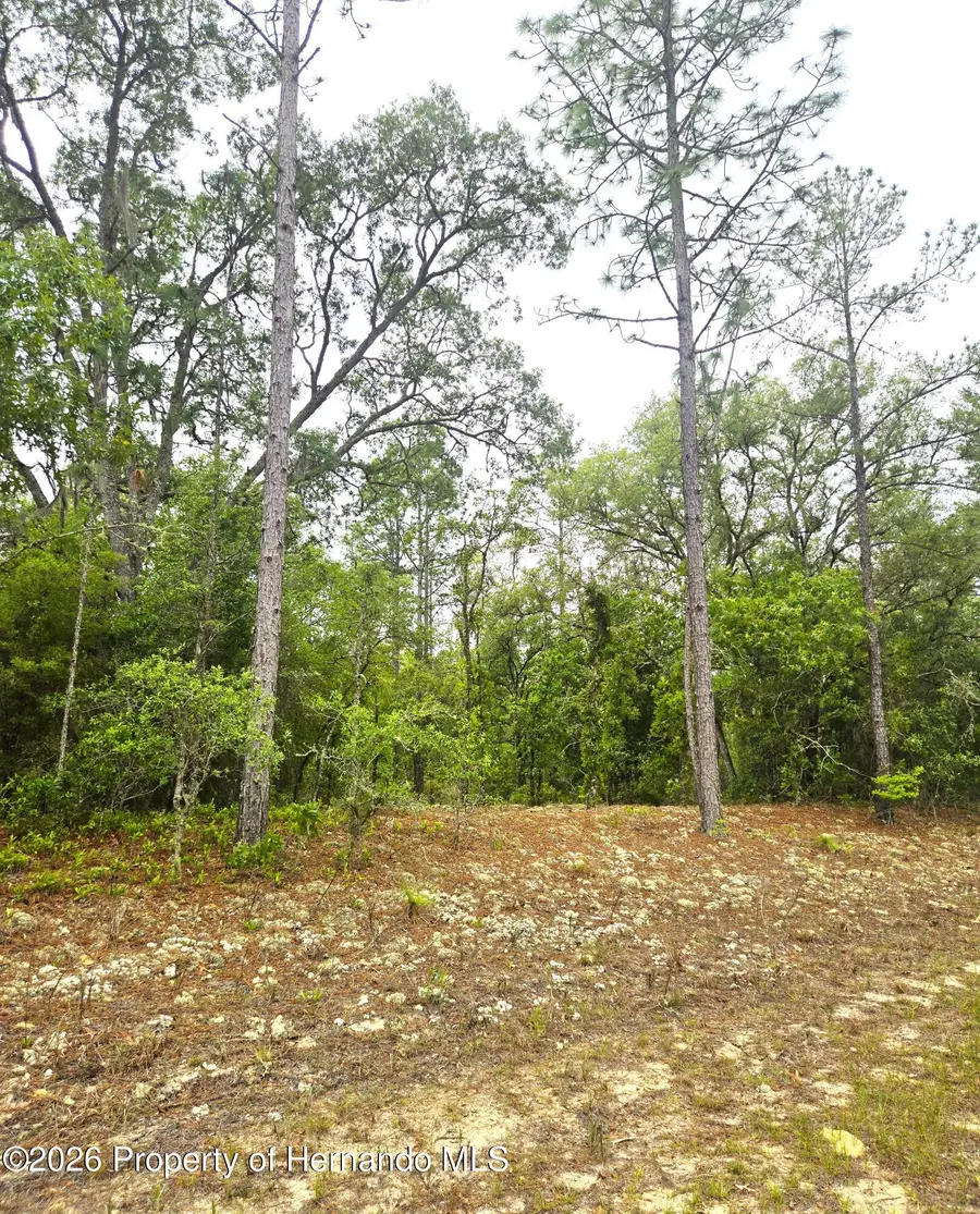 576 E Nemo Drive, Citrus Springs, FL 34434 - #2