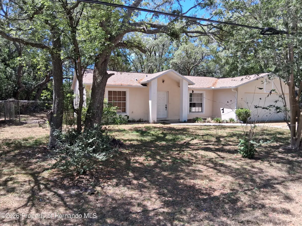 8190 Sealawn Drive, Spring Hill, FL 34606 - #1