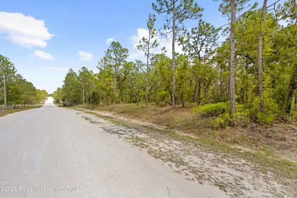 0 Sandpiper Avenue, Weeki Wachee, FL 34614