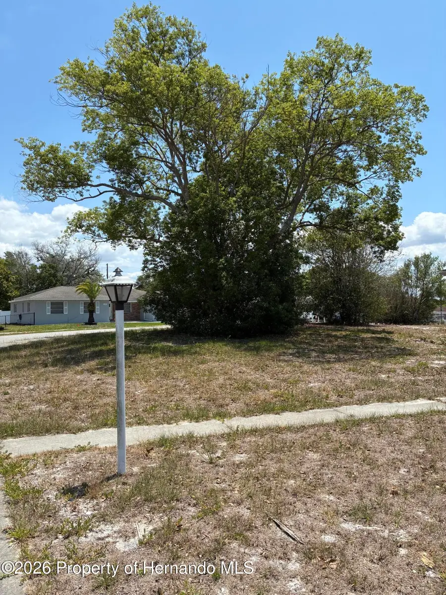 9356 Chase Street W, Spring Hill, FL 34606 - #2