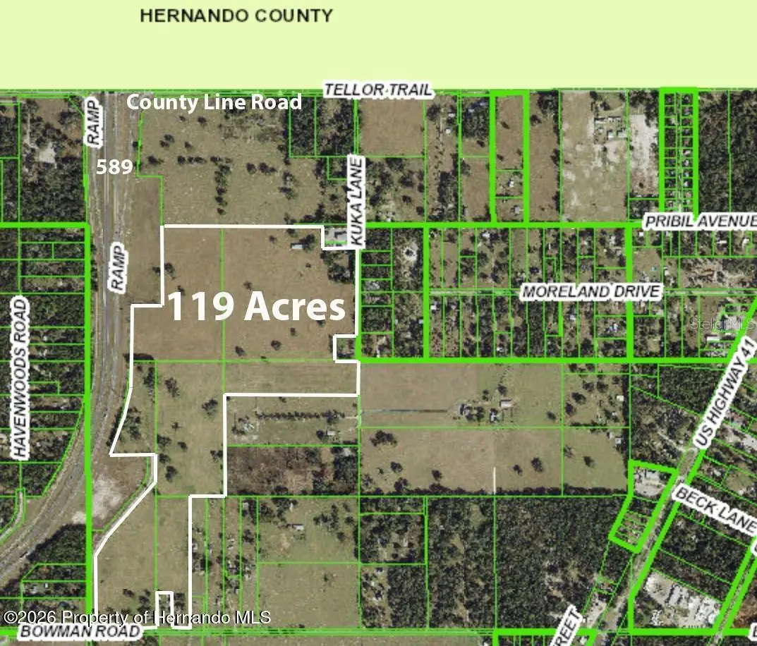 20139 Bowman Road, Shady Hills, FL 34610 - #1