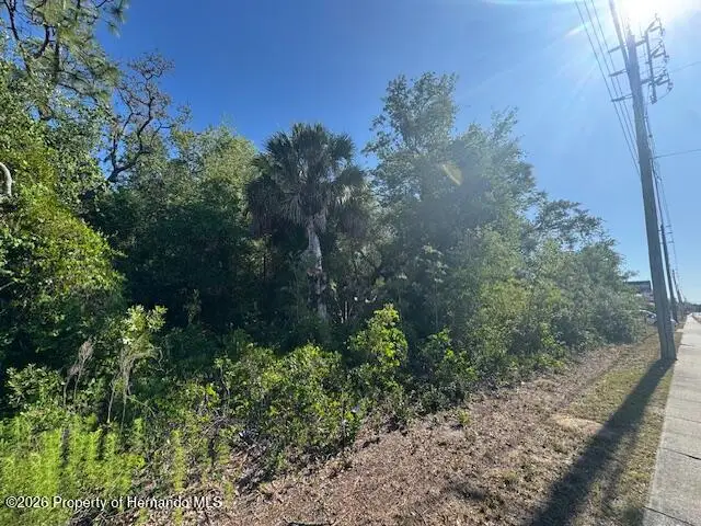 0 State Road 52, Hudson, FL 34669 - #3