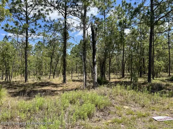 Lot 33 NW Amberjack Avenue, Dunnellon, FL 34431