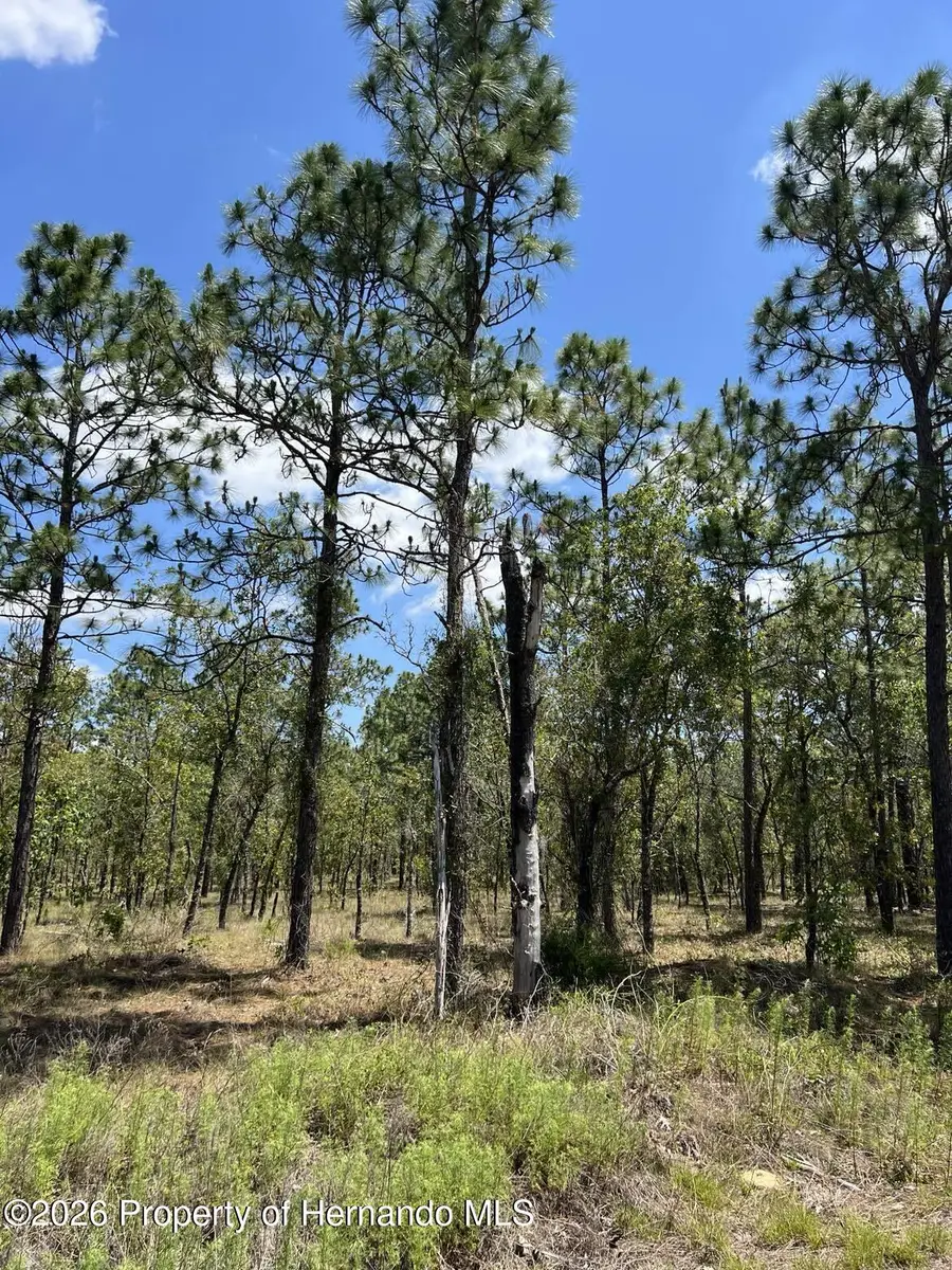 Lot 33 NW Amberjack Avenue, Dunnellon, FL 34431 - #2