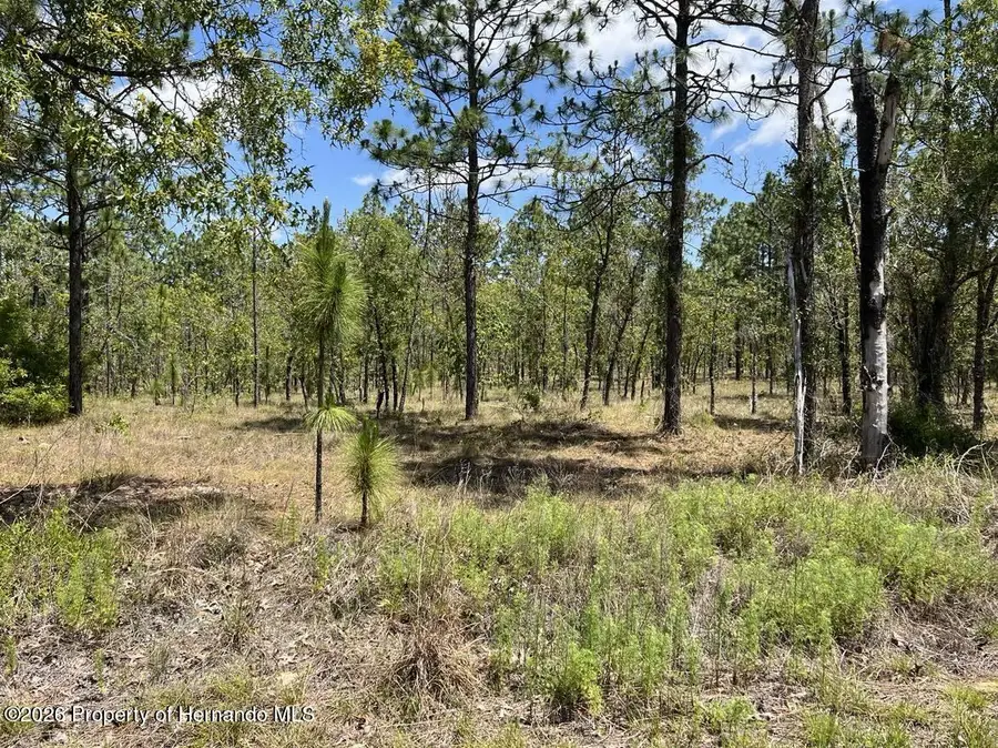 Lot 33 NW Amberjack Avenue, Dunnellon, FL 34431 - #3