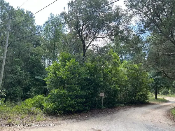 10013 N Holyoak Terrace, Dunnellon, FL 34433
