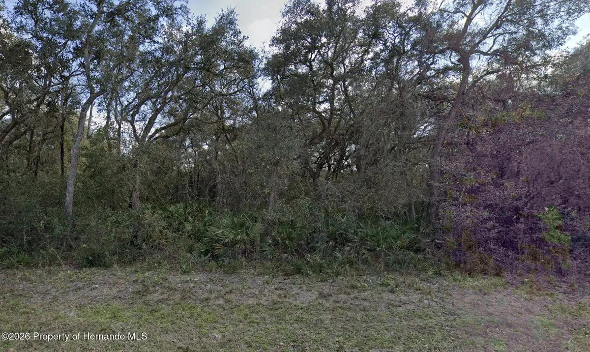 7149 Alloy Street, Webster, FL 33597 - #1