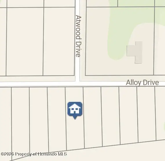 7149 Alloy Street, Webster, FL 33597 - #2