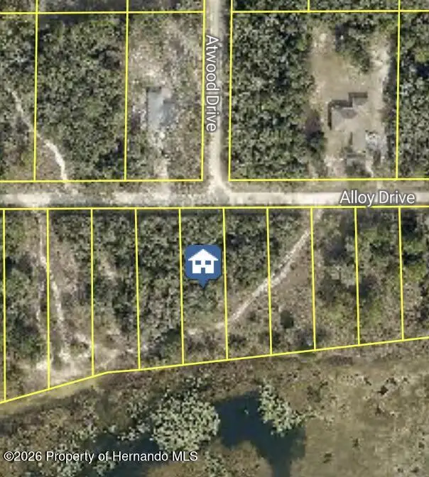 7149 Alloy Street, Webster, FL 33597 - #3