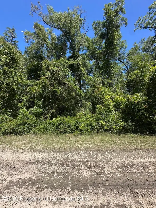 3567 E Yandle Place, Inverness, FL 34453