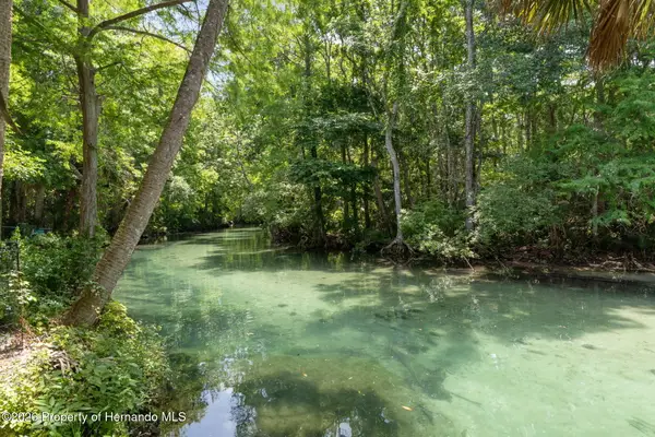 6762 E Richard Drive, Spring Hill, FL 34607