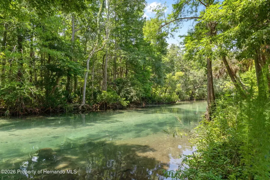 6762 E Richard Drive, Spring Hill, FL 34607 - #2