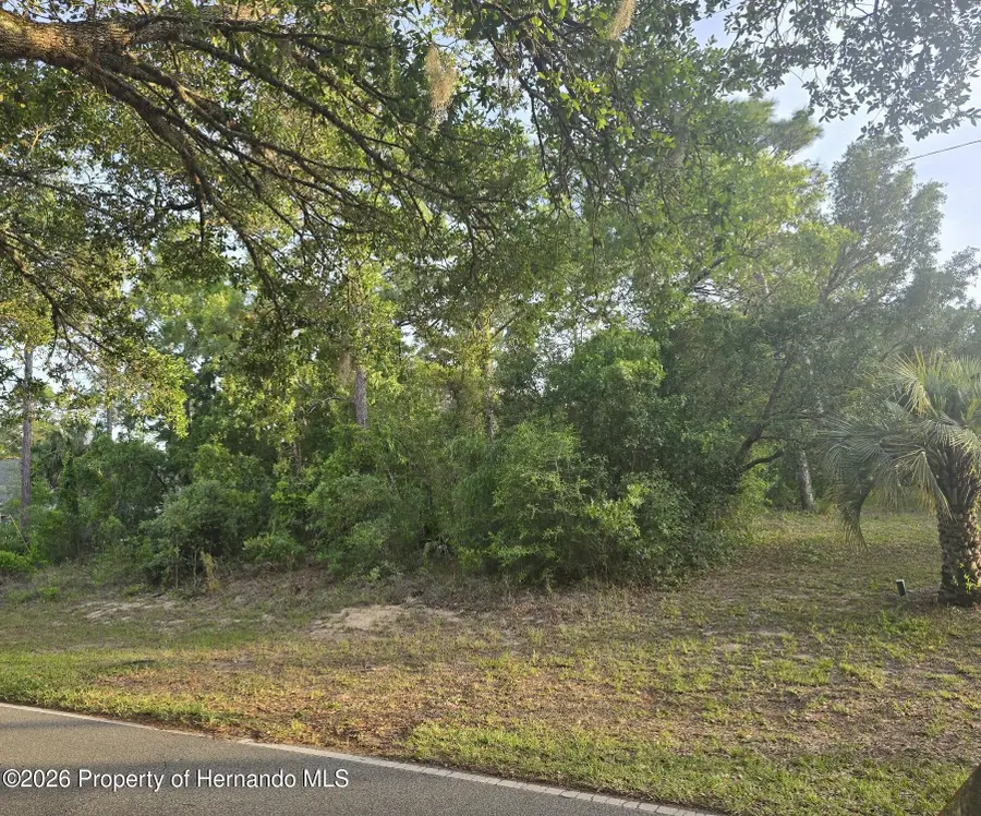 116 S Oak Village Boulevard, Homosassa, FL 34446 - #3