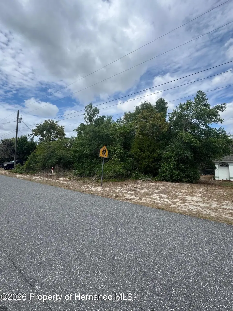 2132 Deborah Drive, Spring Hill, FL 34609 - #2