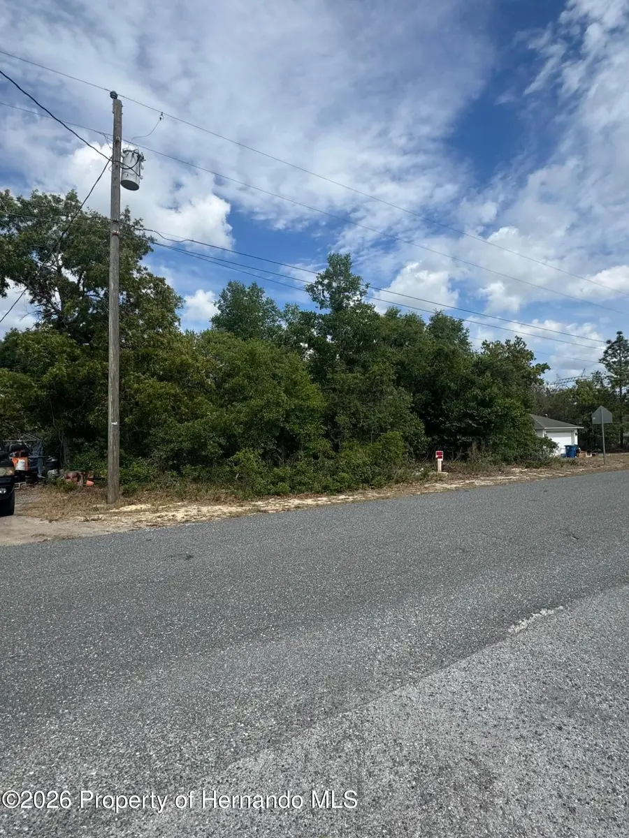 2132 Deborah Drive, Spring Hill, FL 34609 - #3