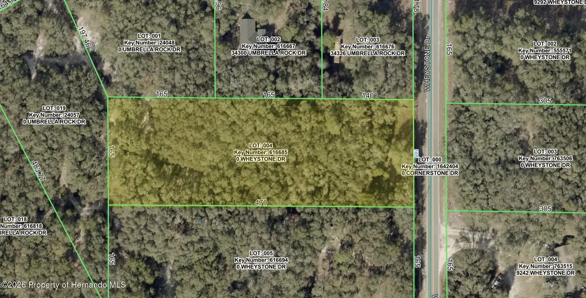 0 Wheystone Drive, Webster, FL 33597 - #1