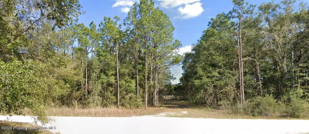 0 Cedarwood Avenue, Weeki Wachee, FL 34614 - #1