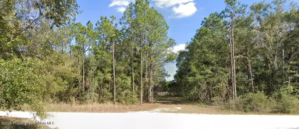 0 Cedarwood Avenue, Weeki Wachee, FL 34614