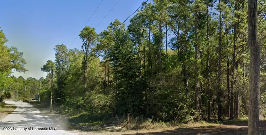 0 Cedarwood Avenue, Weeki Wachee, FL 34614 - #2