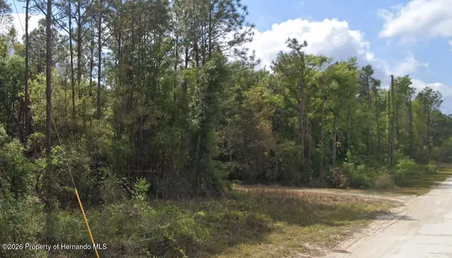 0 Cedarwood Avenue, Weeki Wachee, FL 34614 - #3