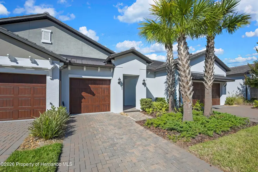 16663 Shell Bay Drive, Land O Lakes, FL 34638 - #2