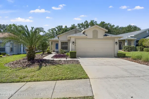 11078 Heathrow Avenue, Spring Hill, FL 34609