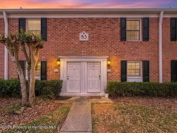 13706 Orange Sunset Drive, Tampa, FL 33618