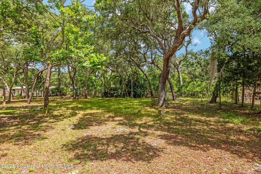 11211 NW 113 Place, Chiefland, FL 32626 - #3