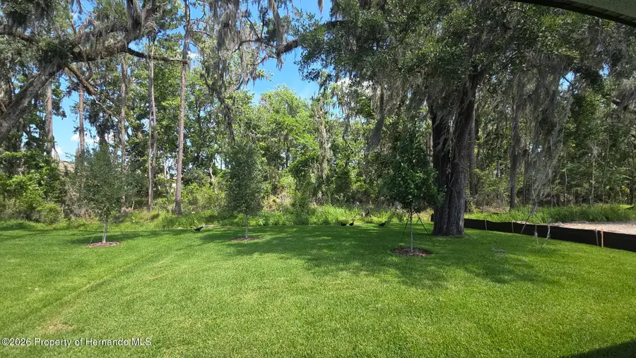 19451 Forest Garden Court, Brooksville, FL 34601 - #3