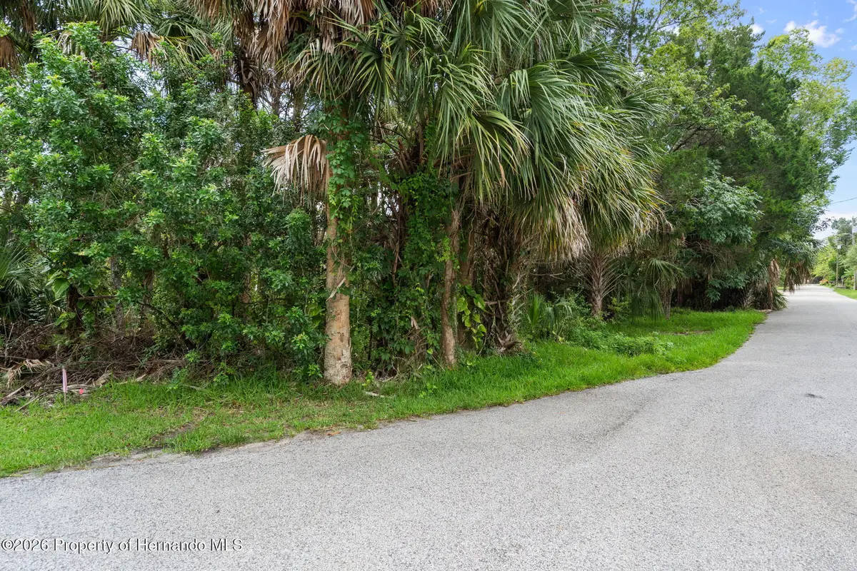 0 River Point Drive, Weeki Wachee, FL 34607 - #1