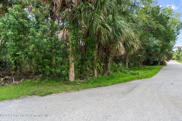0 River Point Drive, Weeki Wachee, FL 34607
